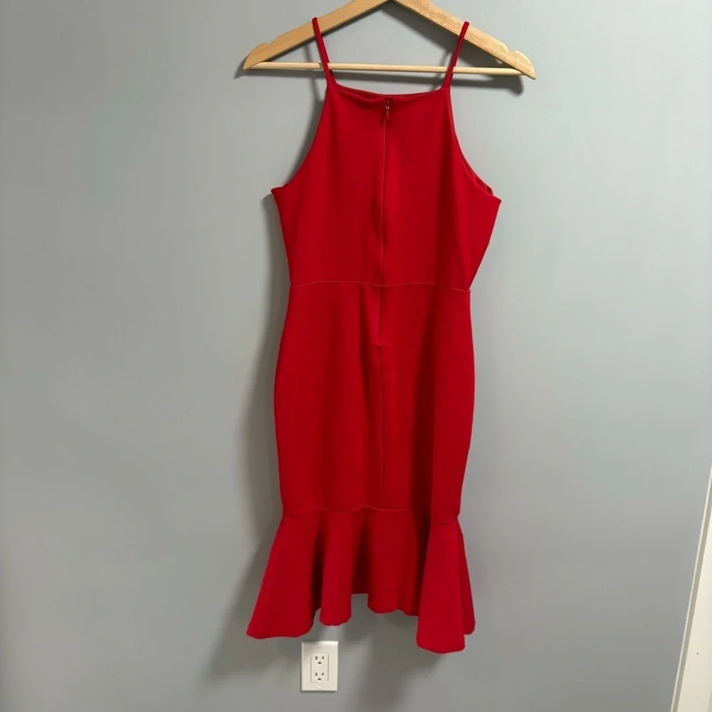 Lulus Dress - Picture 6 of 8